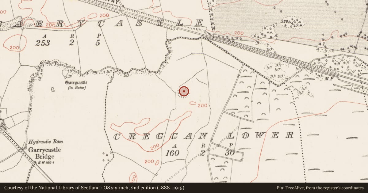 Ordnance Survey six-inch map, 2nd edition (1888–1915) covering the location of Ringfort - rath, Creggan Lower, County Westmeath, with a pin at the register's coordinates