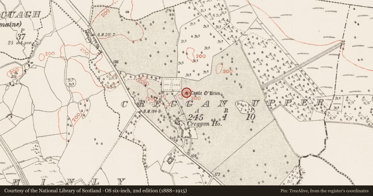 Ordnance Survey six-inch map, 2nd edition (1888–1915) covering the location of Castle - tower house, Creggan Upper, County Westmeath, with a pin at the register's coordinates