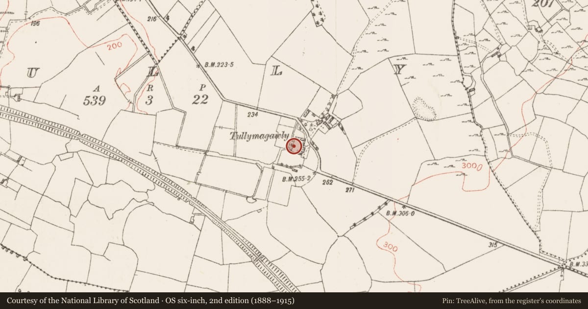 Ordnance Survey six-inch map, 2nd edition (1888–1915) covering the location of Bawn, Tully, County Westmeath, with a pin at the register's coordinates