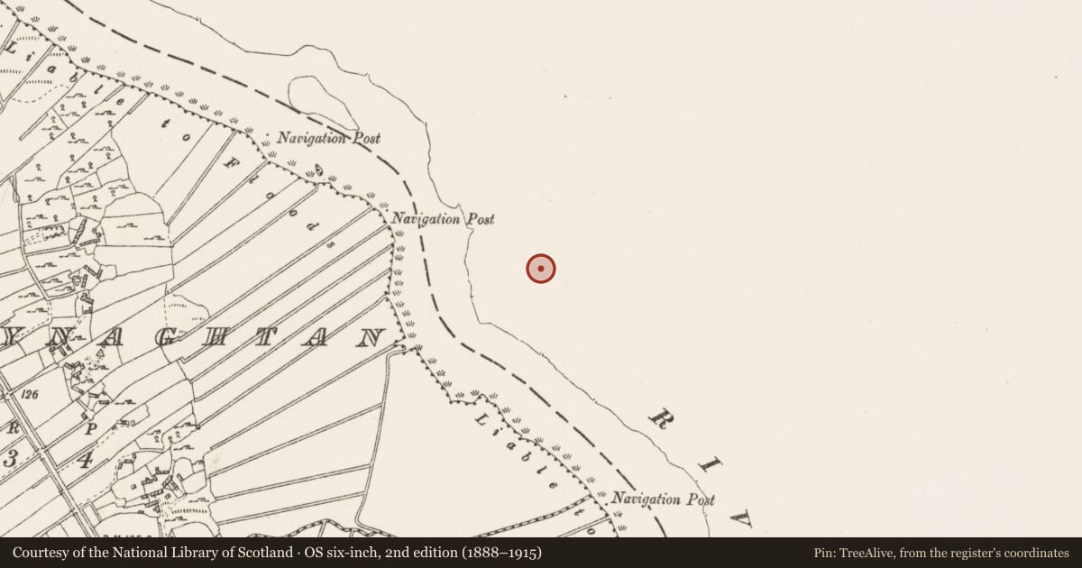 Ordnance Survey six-inch map, 2nd edition (1888–1915) covering the location of Ringfort - rath, Carrickobreen, County Westmeath, with a pin at the register's coordinates