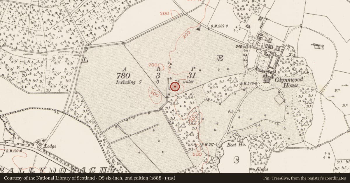 Ordnance Survey six-inch map, 2nd edition (1888–1915) covering the location of Earthwork, Glen, County Westmeath, with a pin at the register's coordinates