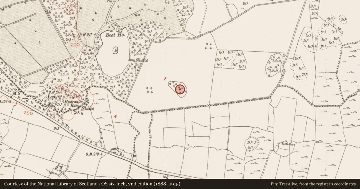 Ordnance Survey six-inch map, 2nd edition (1888–1915) covering the location of Church, Glen, County Westmeath, with a pin at the register's coordinates
