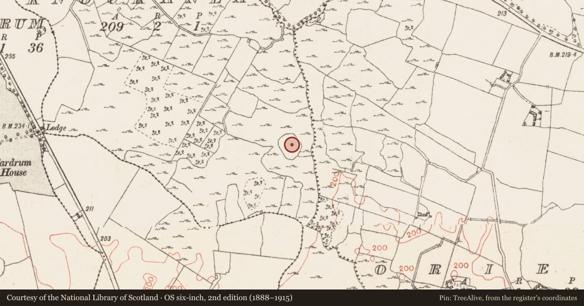 Ordnance Survey six-inch map, 2nd edition (1888–1915) covering the location of Ringfort - rath, Knockanea, County Westmeath, with a pin at the register's coordinates