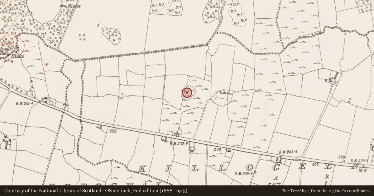 Ordnance Survey six-inch map, 2nd edition (1888–1915) covering the location of Ringfort - rath, Killogeenaghan, County Westmeath, with a pin at the register's coordinates