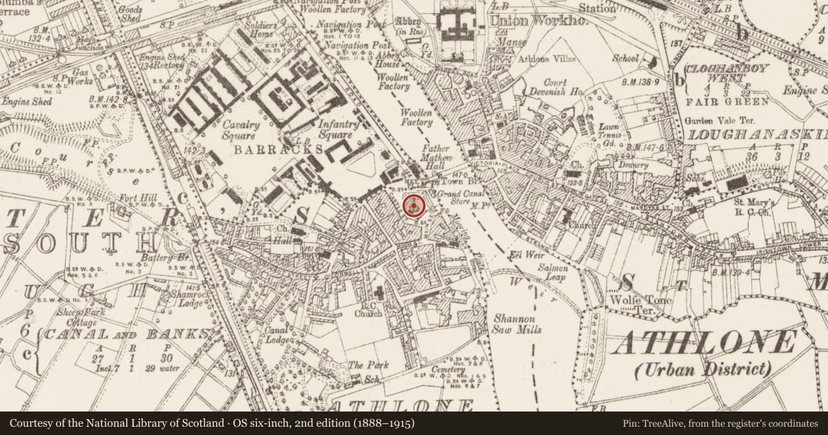 Ordnance Survey six-inch map, 2nd edition (1888–1915) covering the location of Stone head, Athlone And Bigmeadow, County Westmeath, with a pin at the register's coordinates