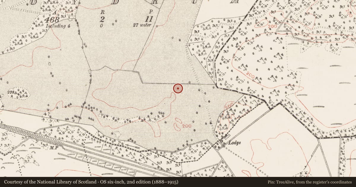 Ordnance Survey six-inch map, 2nd edition (1888–1915) covering the location of Designed landscape - tree-ring, Moydrum, County Westmeath, with a pin at the register's coordinates