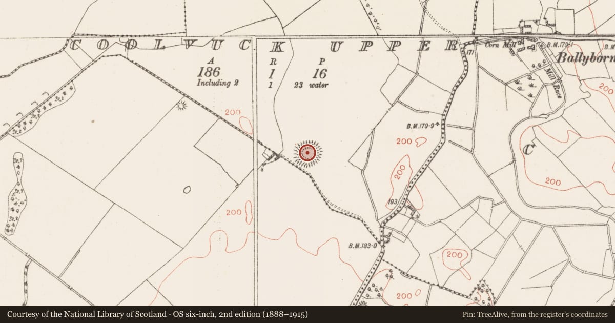 Ordnance Survey six-inch map, 2nd edition (1888–1915) covering the location of Barrow - ring-barrow, Coolvuck Upper, County Westmeath, with a pin at the register's coordinates