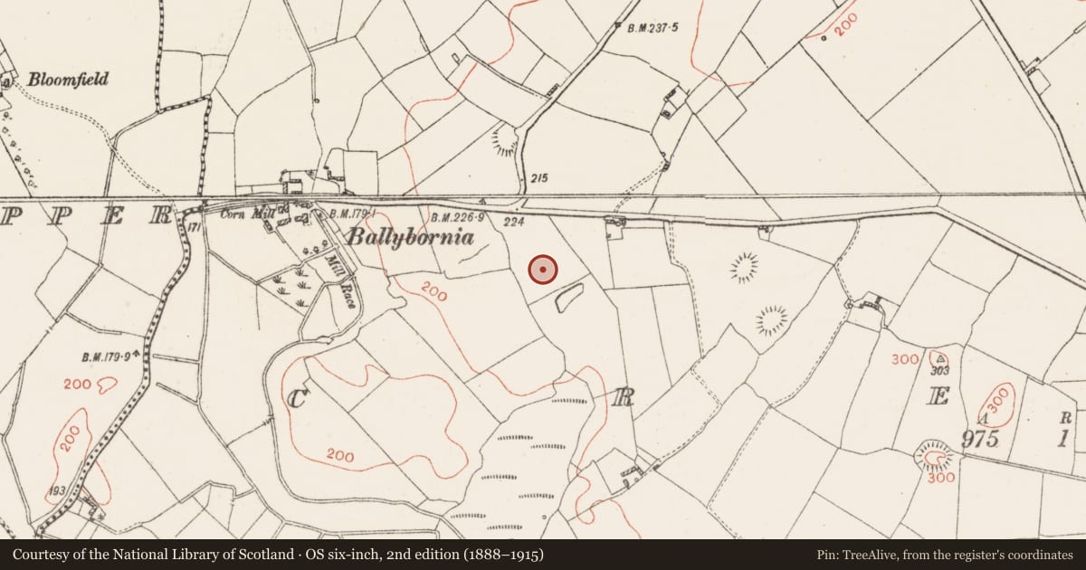 Ordnance Survey six-inch map, 2nd edition (1888–1915) covering the location of Earthwork, Creeve, County Westmeath, with a pin at the register's coordinates