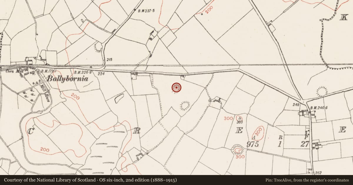 Ordnance Survey six-inch map, 2nd edition (1888–1915) covering the location of House - early medieval, Creeve, County Westmeath, with a pin at the register's coordinates