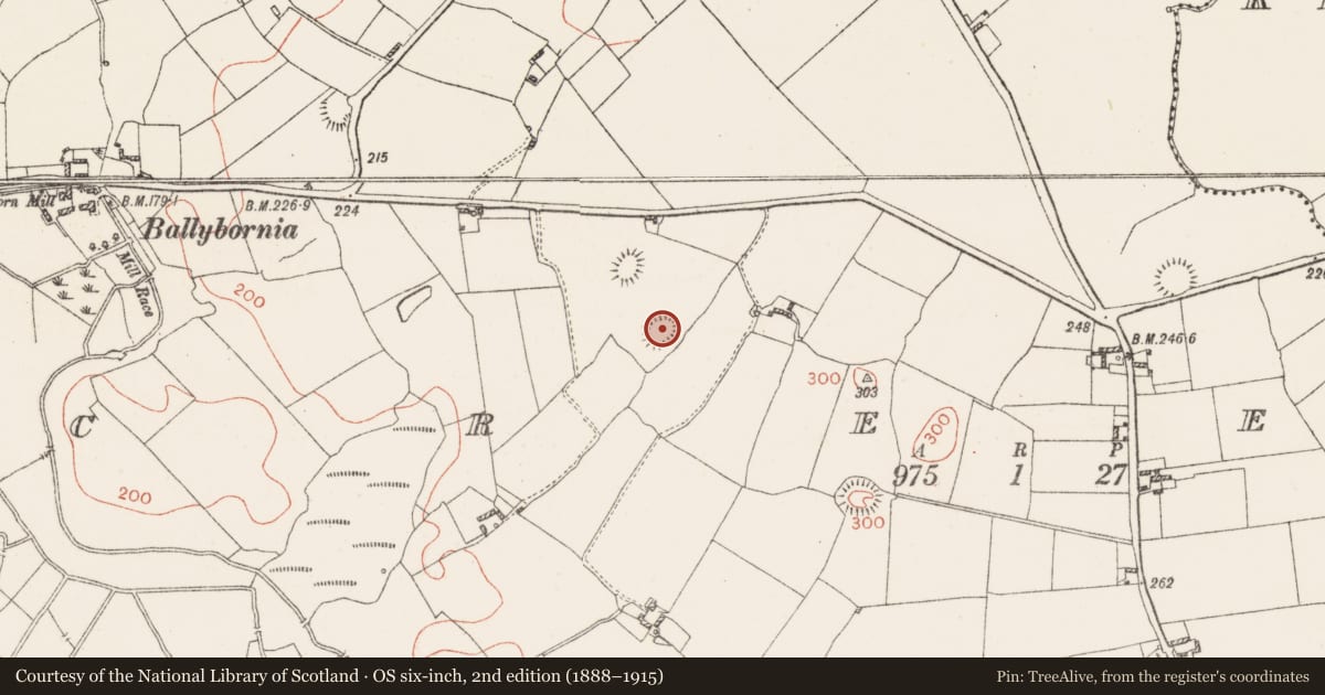 Ordnance Survey six-inch map, 2nd edition (1888–1915) covering the location of Ringfort - rath, Creeve, County Westmeath, with a pin at the register's coordinates