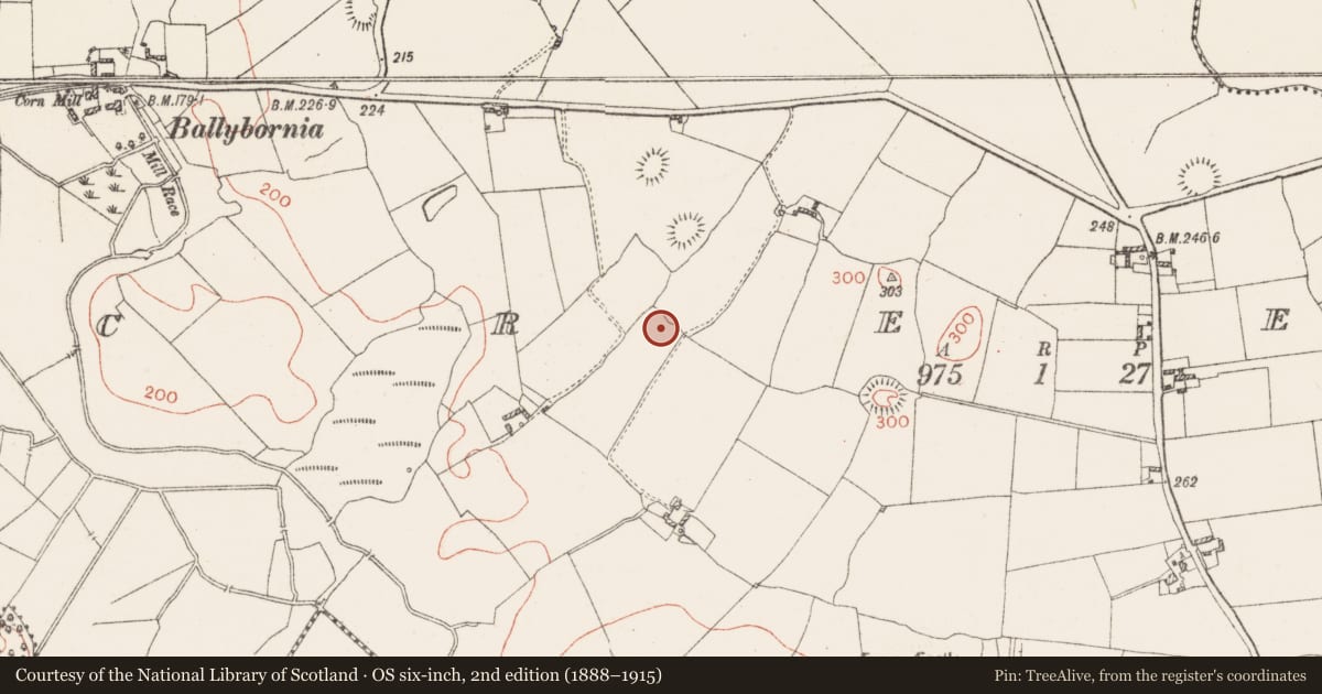 Ordnance Survey six-inch map, 2nd edition (1888–1915) covering the location of Enclosure, Creeve, County Westmeath, with a pin at the register's coordinates