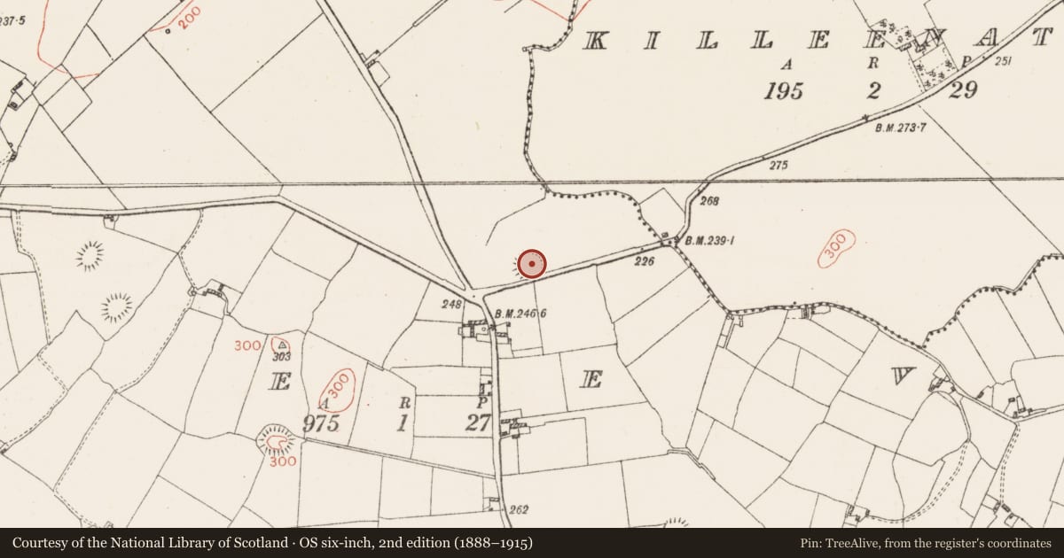Ordnance Survey six-inch map, 2nd edition (1888–1915) covering the location of Ringfort - rath, Creeve, County Westmeath, with a pin at the register's coordinates
