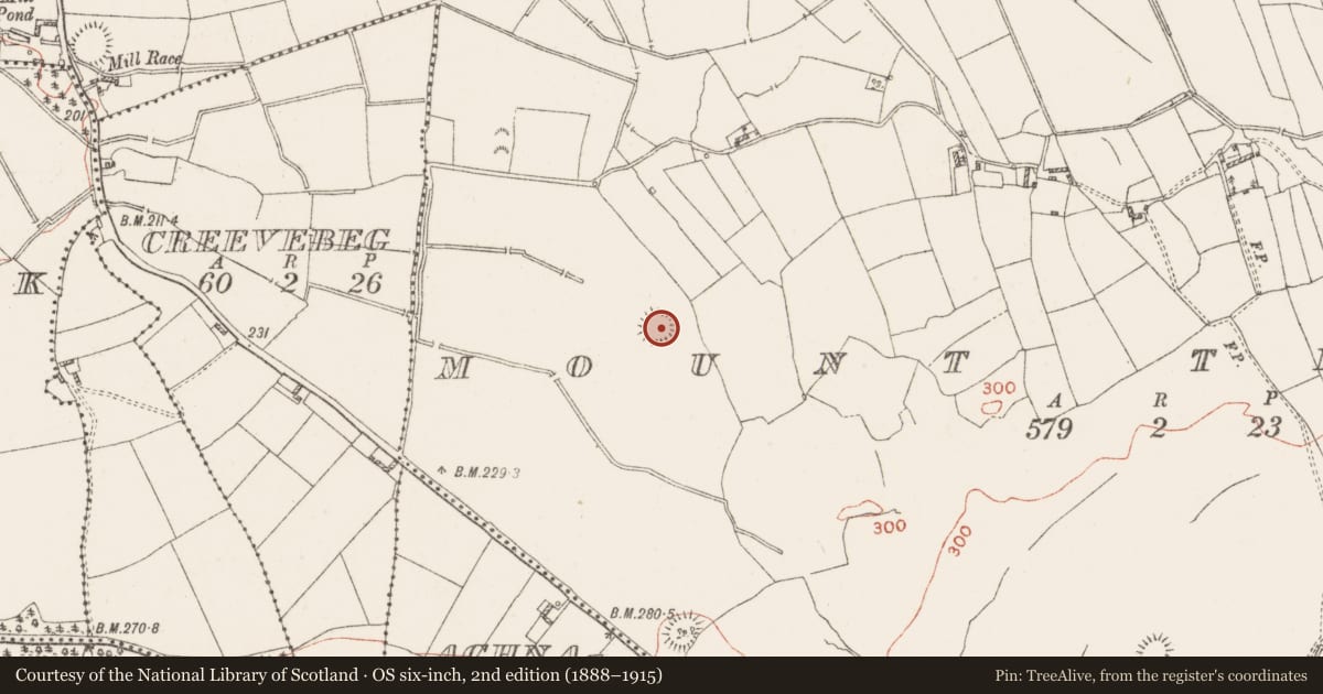 Ordnance Survey six-inch map, 2nd edition (1888–1915) covering the location of Ringfort - rath, Mount Temple, County Westmeath, with a pin at the register's coordinates