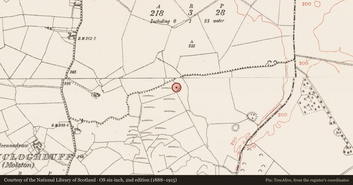 Ordnance Survey six-inch map, 2nd edition (1888–1915) covering the location of Ringfort - rath, Ballycloghduff, County Westmeath, with a pin at the register's coordinates