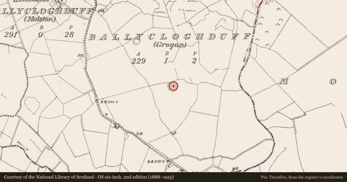 Ordnance Survey six-inch map, 2nd edition (1888–1915) covering the location of Ringfort - rath, Ballycloghduff, County Westmeath, with a pin at the register's coordinates