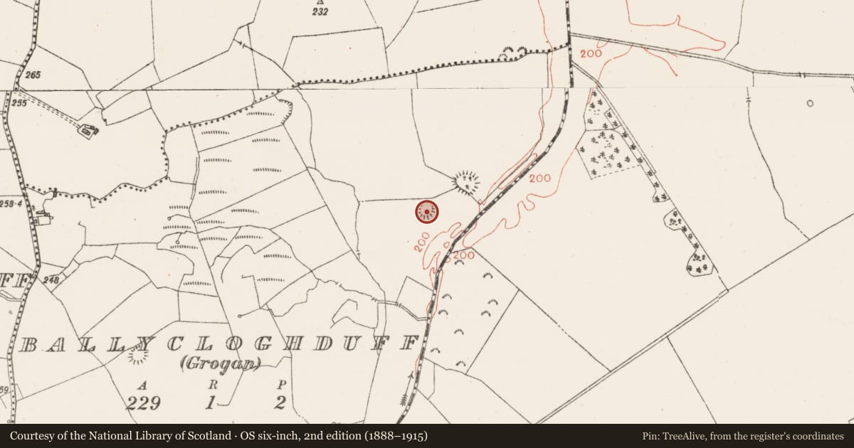 Ordnance Survey six-inch map, 2nd edition (1888–1915) covering the location of Ringfort - rath, Ballycloghduff, County Westmeath, with a pin at the register's coordinates
