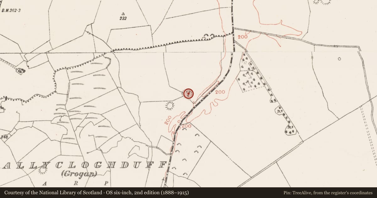 Ordnance Survey six-inch map, 2nd edition (1888–1915) covering the location of Ringfort - rath, Ballycloghduff, County Westmeath, with a pin at the register's coordinates