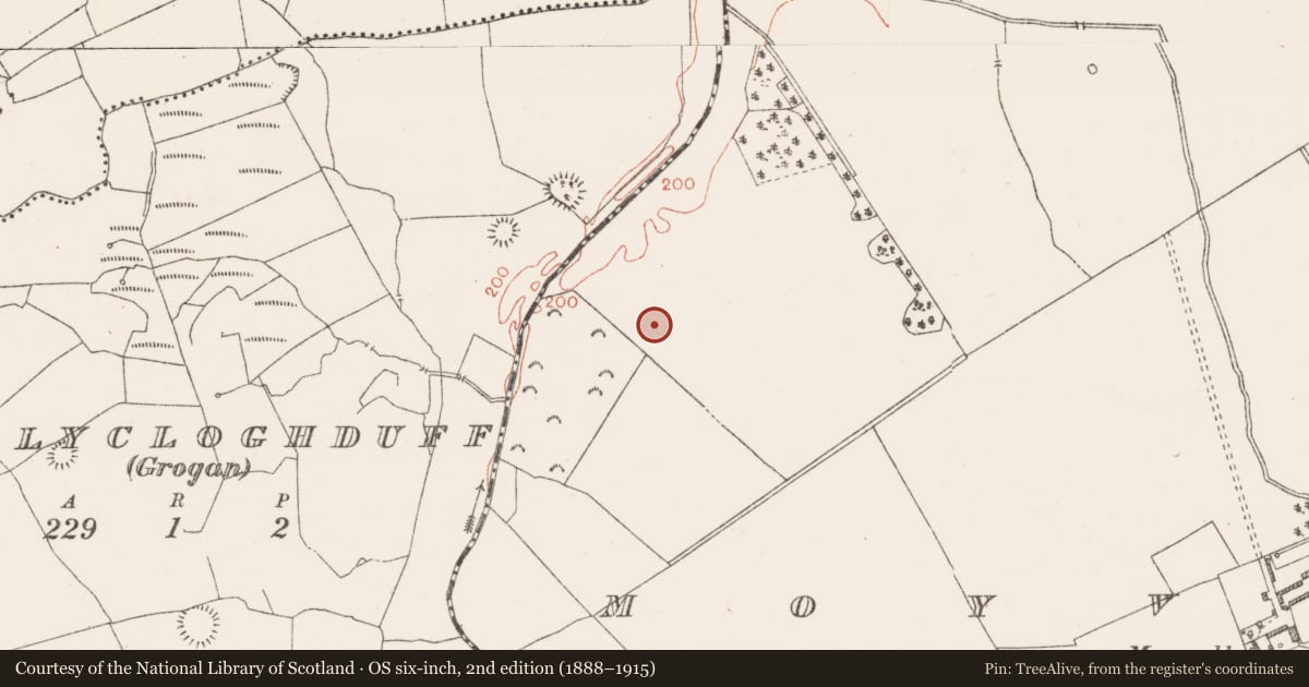 Ordnance Survey six-inch map, 2nd edition (1888–1915) covering the location of Earthwork, Moyvoughly, County Westmeath, with a pin at the register's coordinates