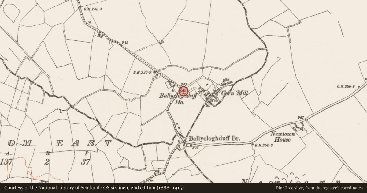 Ordnance Survey six-inch map, 2nd edition (1888–1915) covering the location of Exhibitionist figure (present location), Ballycloghduff, County Westmeath, with a pin at the register's coordinates