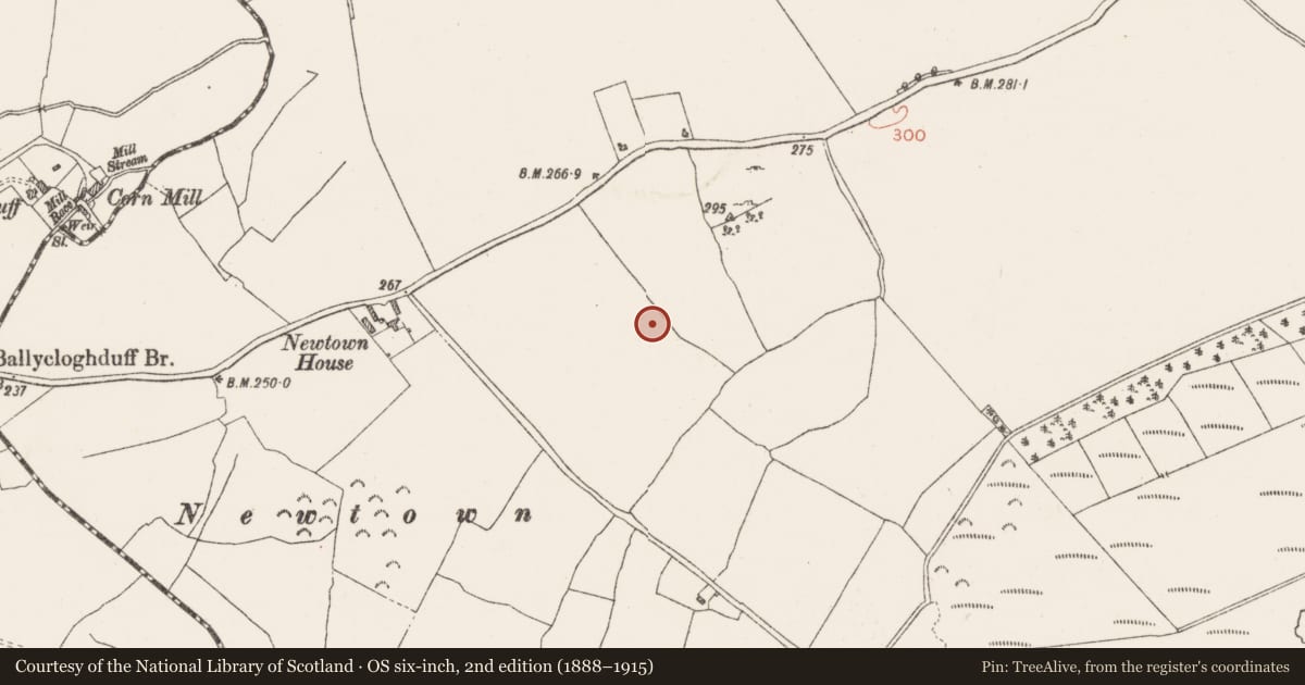 Ordnance Survey six-inch map, 2nd edition (1888–1915) covering the location of Standing stone, Moyvoughly, County Westmeath, with a pin at the register's coordinates