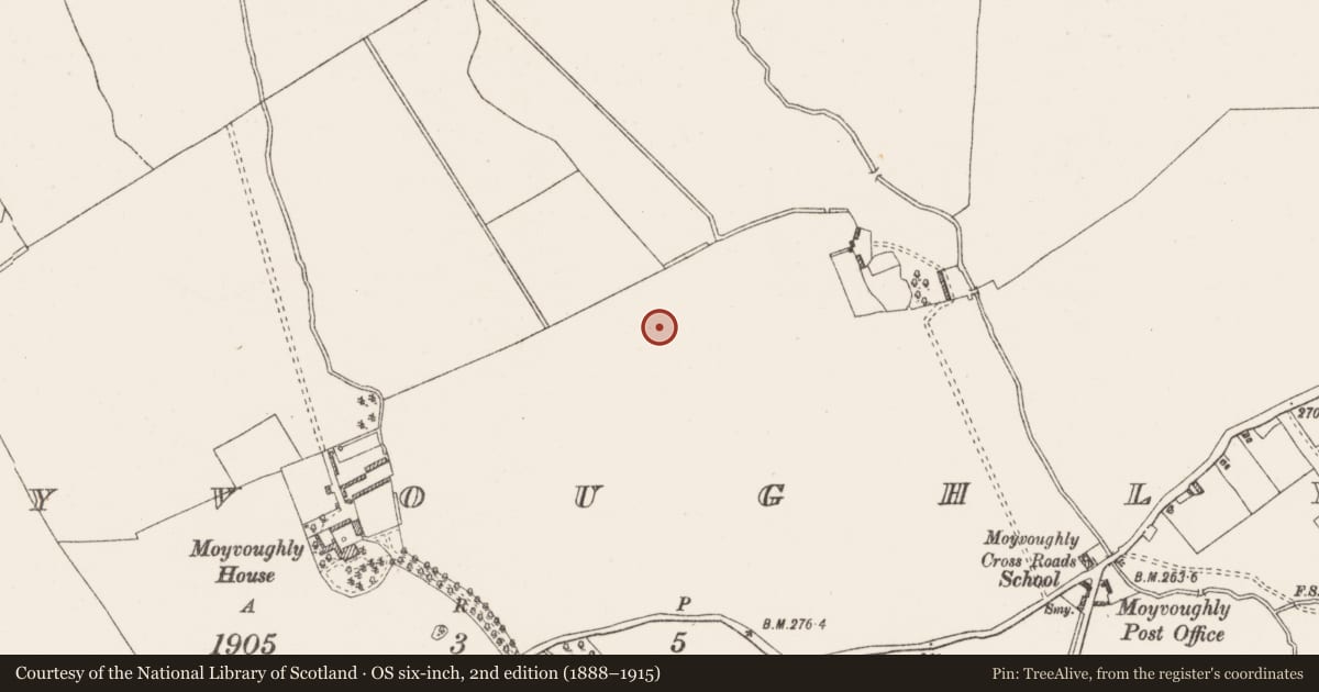 Ordnance Survey six-inch map, 2nd edition (1888–1915) covering the location of Barrow - unclassified, Moyvoughly, County Westmeath, with a pin at the register's coordinates