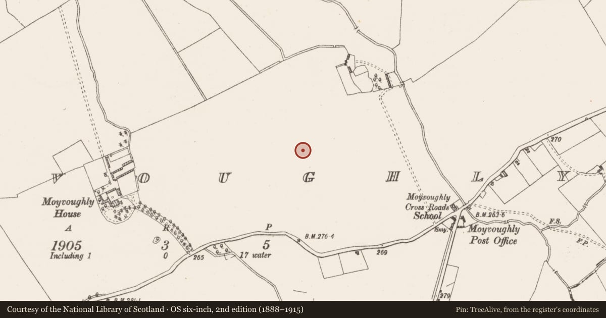 Ordnance Survey six-inch map, 2nd edition (1888–1915) covering the location of Barrow - bowl-barrow, Moyvoughly, County Westmeath, with a pin at the register's coordinates