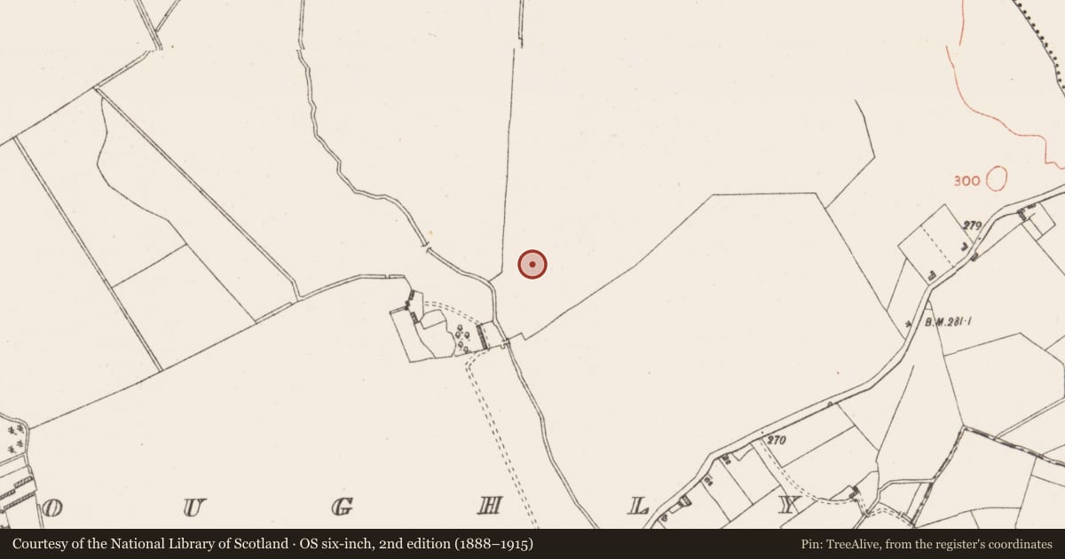 Ordnance Survey six-inch map, 2nd edition (1888–1915) covering the location of Castle - unclassified, Moyvoughly, County Westmeath, with a pin at the register's coordinates