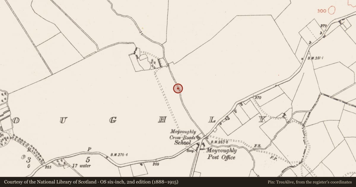 Ordnance Survey six-inch map, 2nd edition (1888–1915) covering the location of Ritual site - holy well, Moyvoughly, County Westmeath, with a pin at the register's coordinates