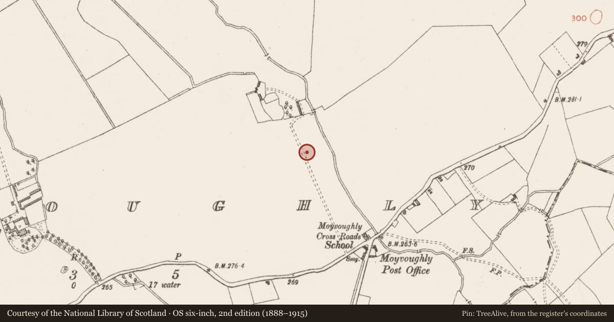 Ordnance Survey six-inch map, 2nd edition (1888–1915) covering the location of Bullaun stone, Moyvoughly, County Westmeath, with a pin at the register's coordinates