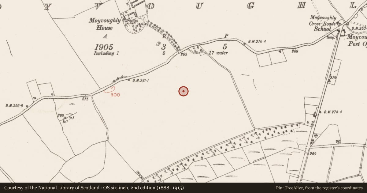 Ordnance Survey six-inch map, 2nd edition (1888–1915) covering the location of Ringfort - rath, Moyvoughly, County Westmeath, with a pin at the register's coordinates
