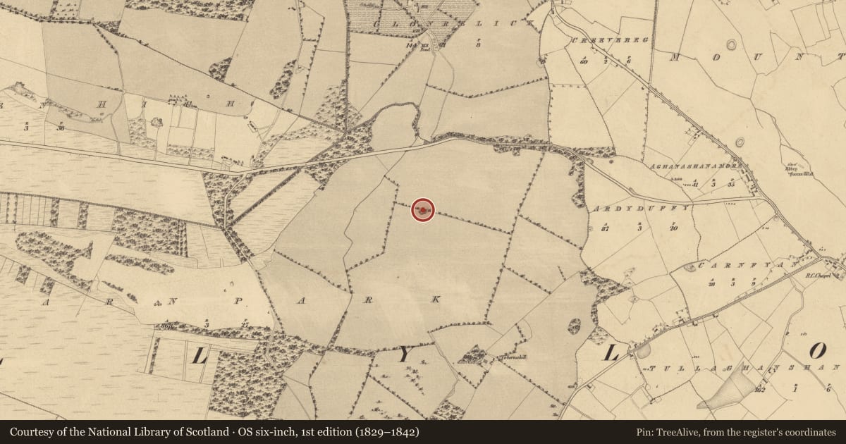 Ordnance Survey six-inch map, 1st edition (1829–1842) covering the location of Ringfort - rath, Carnpark, County Westmeath, with a pin at the register's coordinates