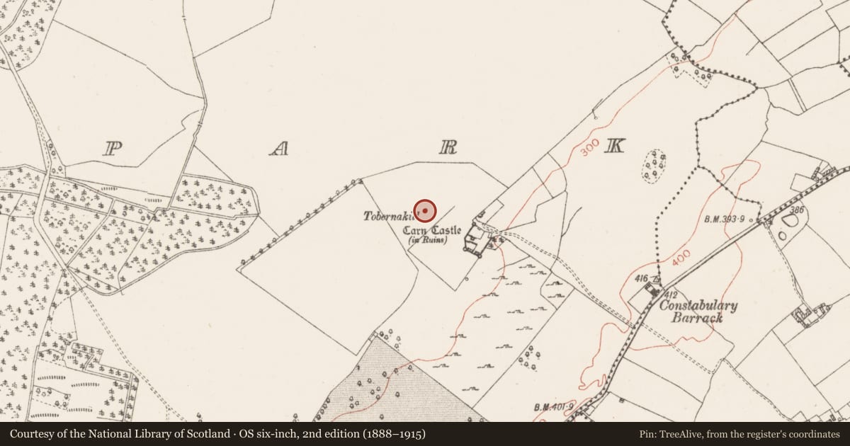 Ordnance Survey six-inch map, 2nd edition (1888–1915) covering the location of Ritual site - holy well, Carnpark, County Westmeath, with a pin at the register's coordinates