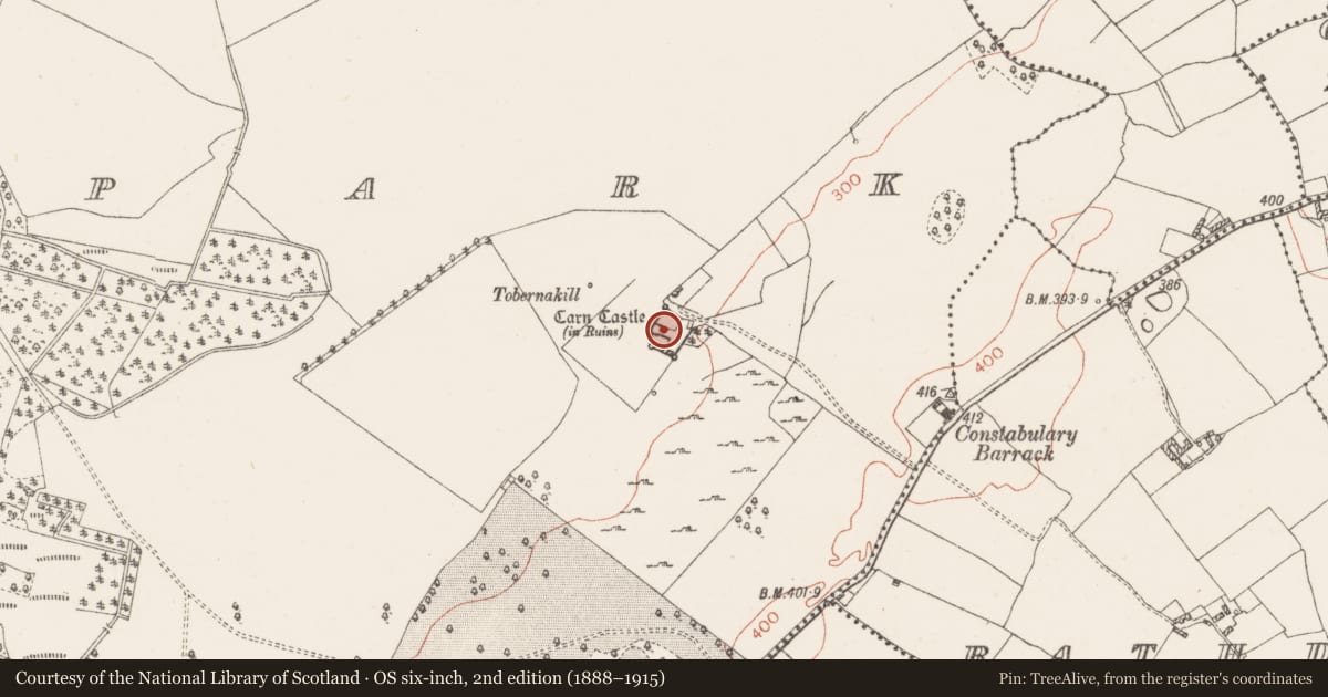 Ordnance Survey six-inch map, 2nd edition (1888–1915) covering the location of Castle - tower house, Carnpark, County Westmeath, with a pin at the register's coordinates
