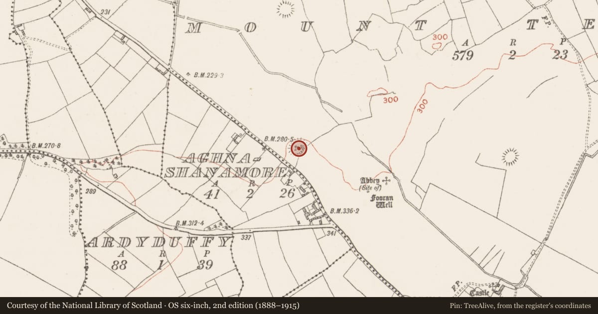 Ordnance Survey six-inch map, 2nd edition (1888–1915) covering the location of Ringfort - rath, Mount Temple, County Westmeath, with a pin at the register's coordinates