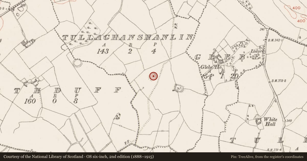Ordnance Survey six-inch map, 2nd edition (1888–1915) covering the location of Ringfort - rath, Tullaghanshanlin, County Westmeath, with a pin at the register's coordinates