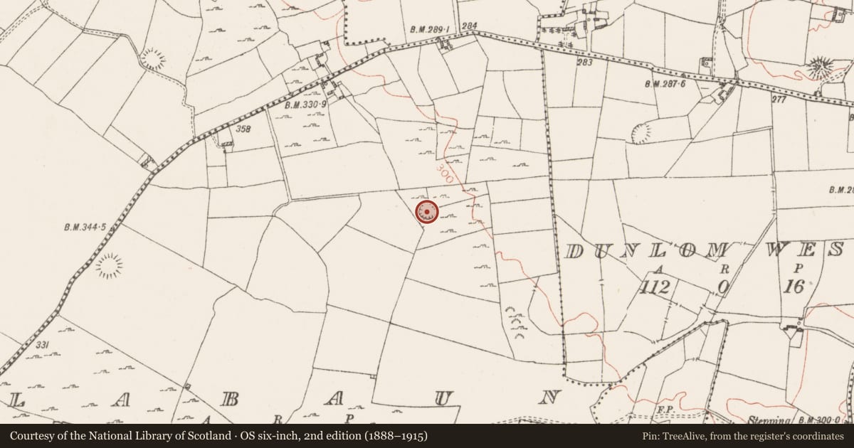 Ordnance Survey six-inch map, 2nd edition (1888–1915) covering the location of Ringfort - unclassified, Labaun, County Westmeath, with a pin at the register's coordinates