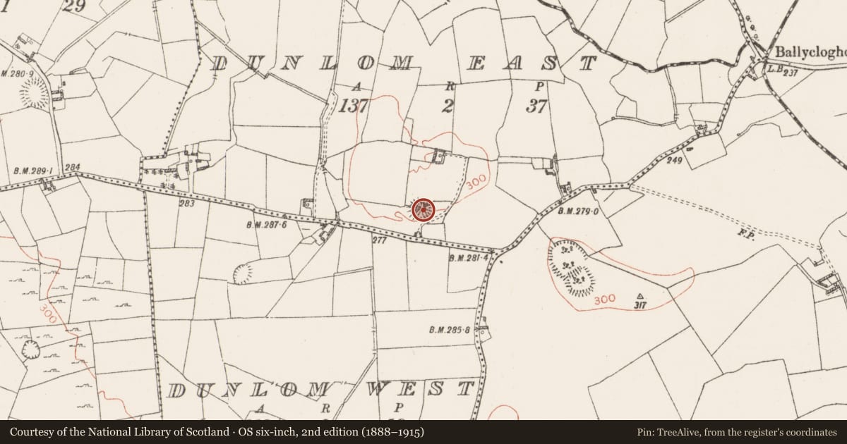 Ordnance Survey six-inch map, 2nd edition (1888–1915) covering the location of Ringfort - rath, Dunlom East, County Westmeath, with a pin at the register's coordinates
