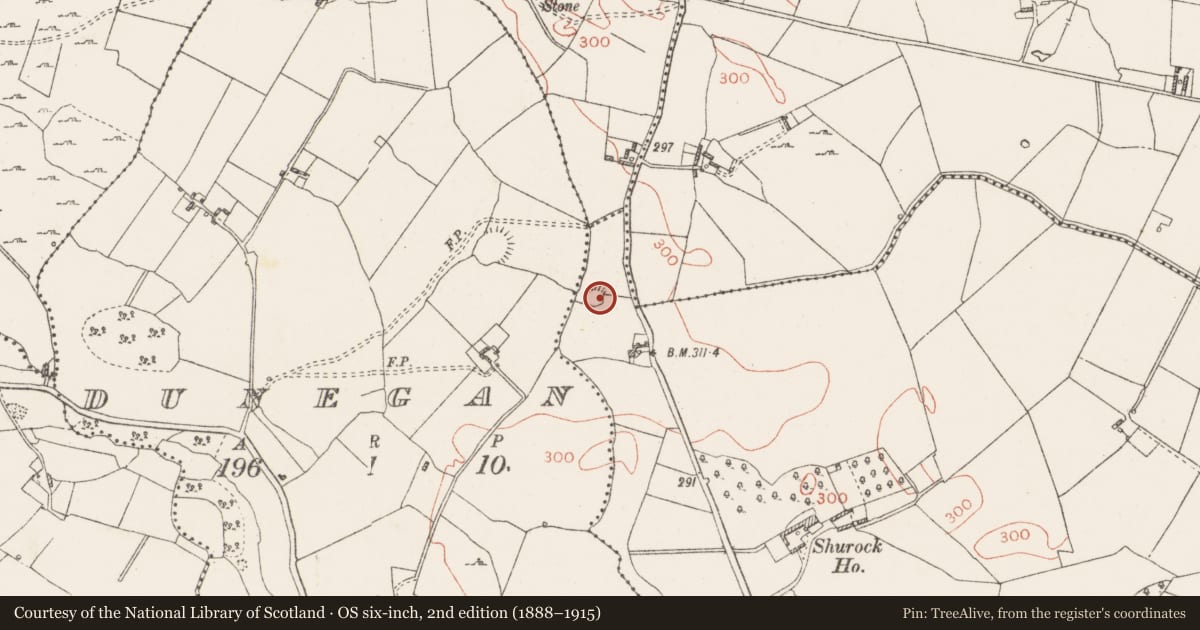 Ordnance Survey six-inch map, 2nd edition (1888–1915) covering the location of Ringfort - rath, Shurock, County Westmeath, with a pin at the register's coordinates
