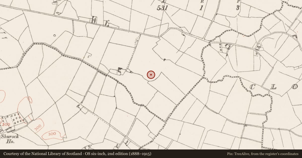 Ordnance Survey six-inch map, 2nd edition (1888–1915) covering the location of Enclosure - large enclosure, Ballydoogan, County Westmeath, with a pin at the register's coordinates