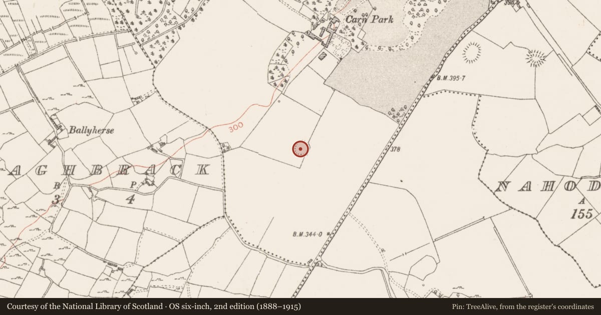 Ordnance Survey six-inch map, 2nd edition (1888–1915) covering the location of Ringfort - rath, Carnpark, County Westmeath, with a pin at the register's coordinates