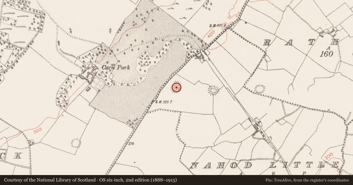 Ordnance Survey six-inch map, 2nd edition (1888–1915) covering the location of Ringfort - rath, Nahod Little, County Westmeath, with a pin at the register's coordinates