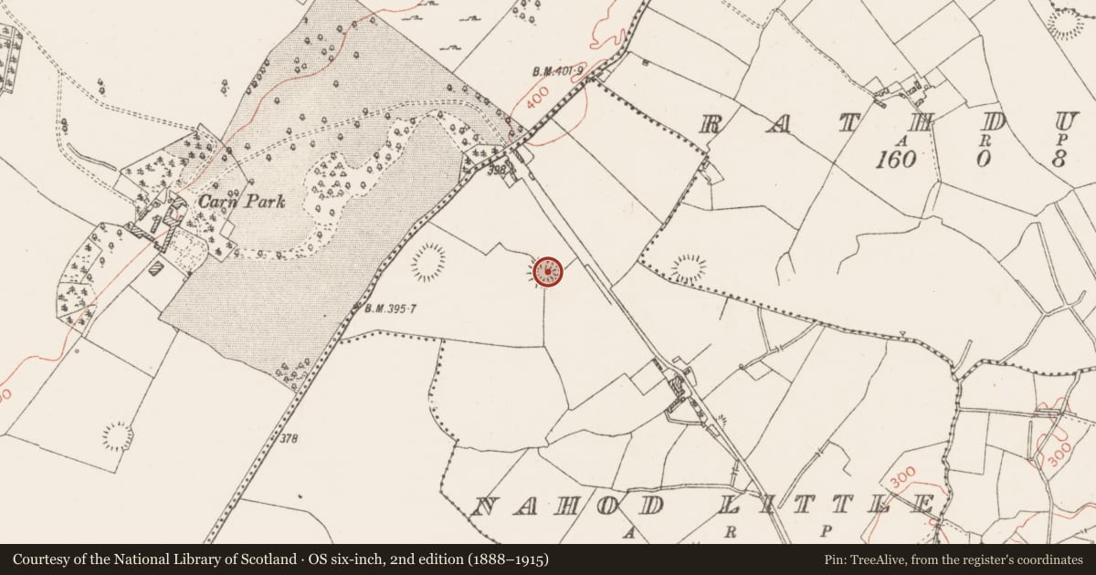 Ordnance Survey six-inch map, 2nd edition (1888–1915) covering the location of Ringfort - rath, Nahod Little, County Westmeath, with a pin at the register's coordinates