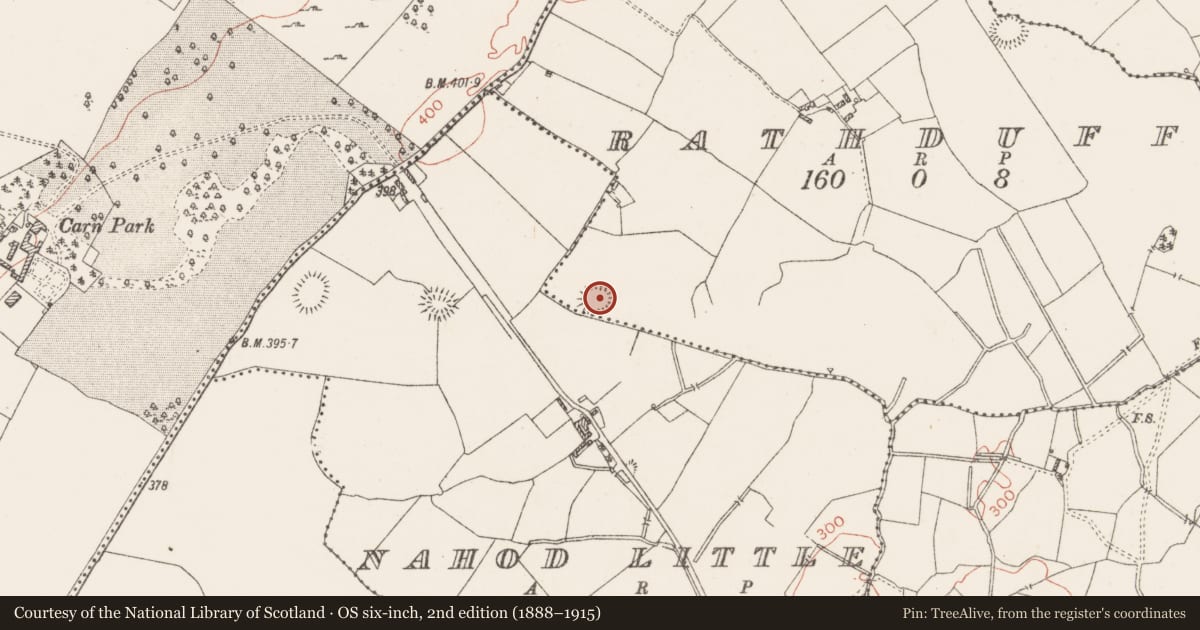 Ordnance Survey six-inch map, 2nd edition (1888–1915) covering the location of Ringfort - rath, Rathduff, County Westmeath, with a pin at the register's coordinates