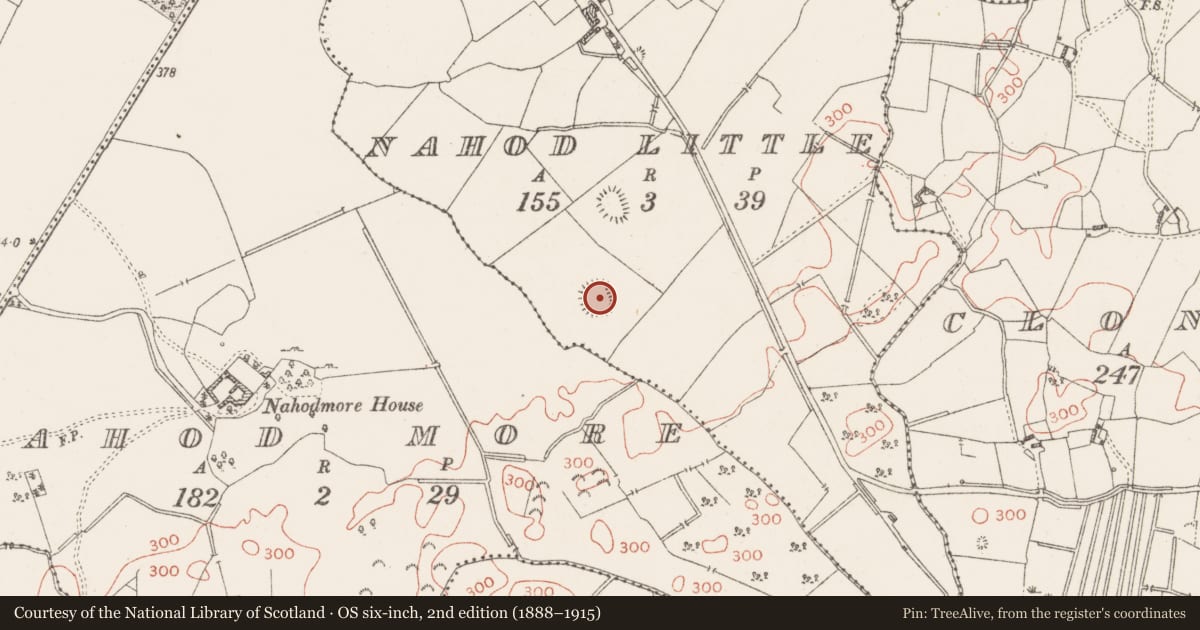 Ordnance Survey six-inch map, 2nd edition (1888–1915) covering the location of Ringfort - rath, Nahod Little, County Westmeath, with a pin at the register's coordinates