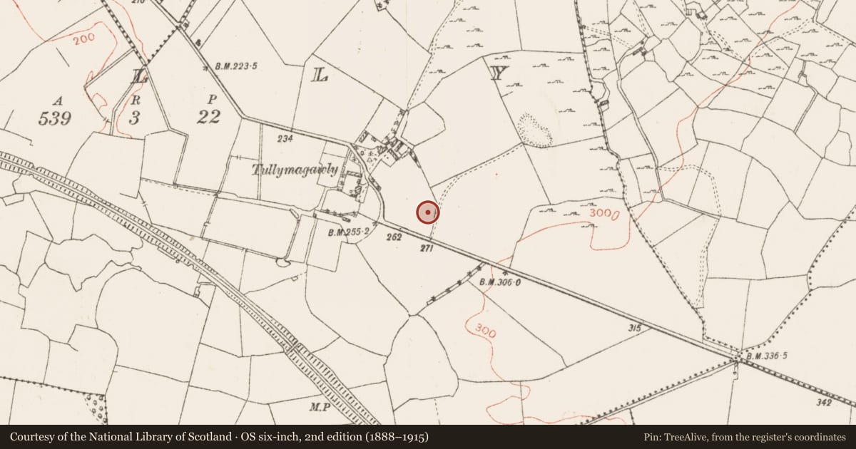 Ordnance Survey six-inch map, 2nd edition (1888–1915) covering the location of Ringfort - rath, Tully, County Westmeath, with a pin at the register's coordinates