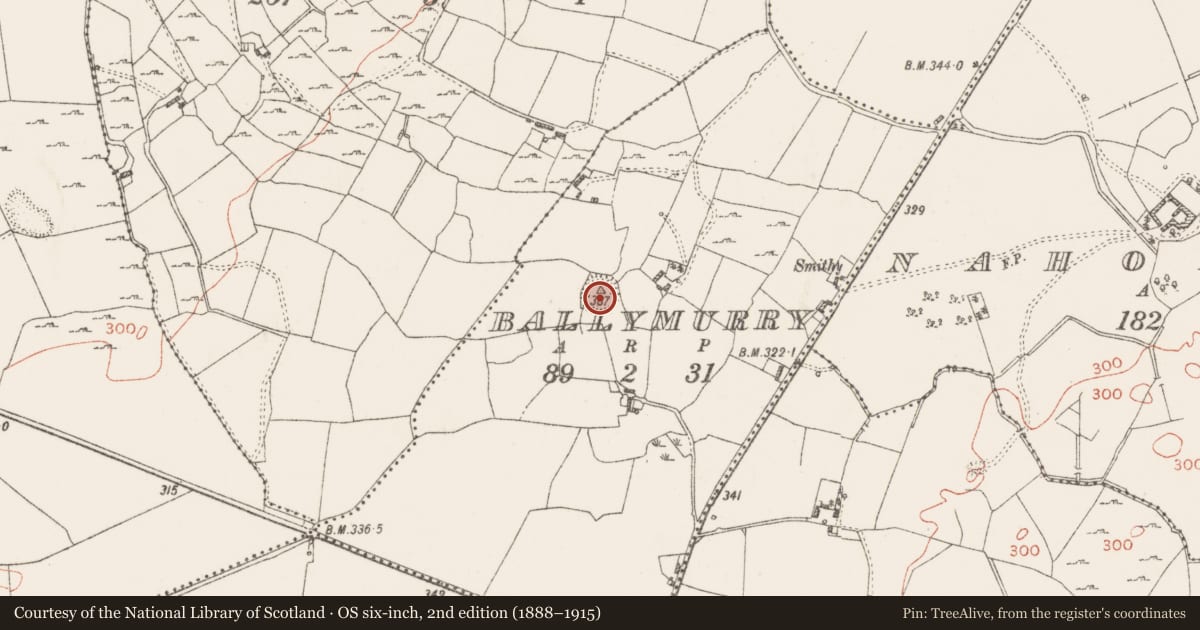 Ordnance Survey six-inch map, 2nd edition (1888–1915) covering the location of Barrow - stepped barrow, Ballymurry, County Westmeath, with a pin at the register's coordinates