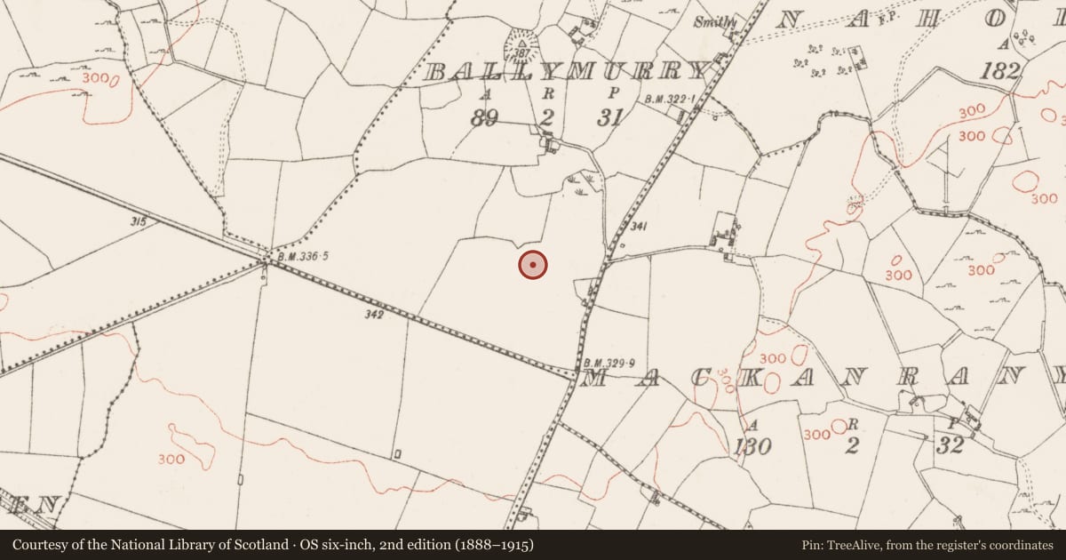 Ordnance Survey six-inch map, 2nd edition (1888–1915) covering the location of Ringfort - rath, Ballymurry, County Westmeath, with a pin at the register's coordinates