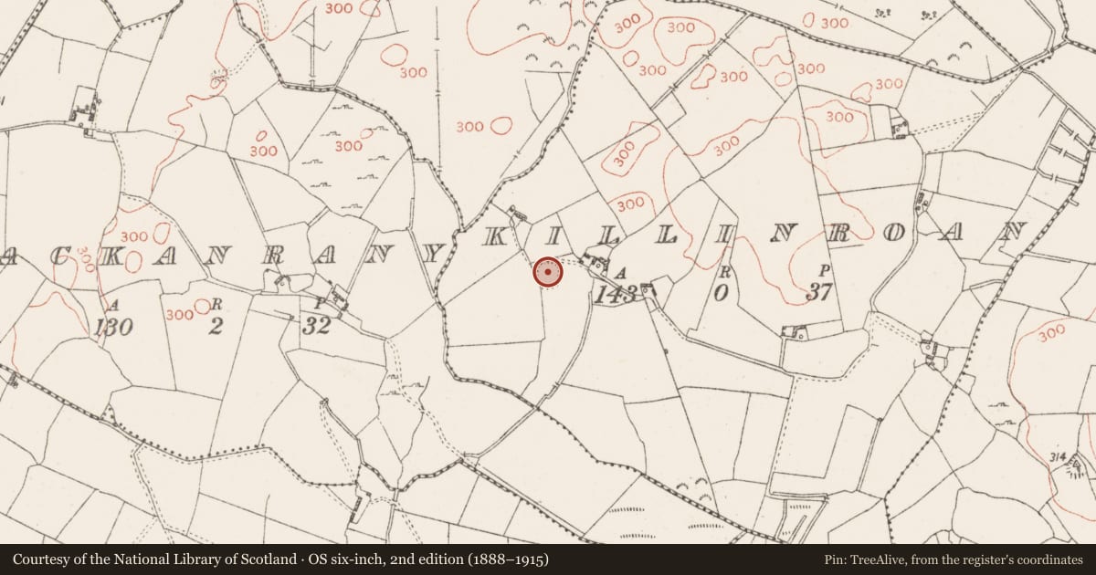Ordnance Survey six-inch map, 2nd edition (1888–1915) covering the location of Ringfort - rath, Killinroan, County Westmeath, with a pin at the register's coordinates