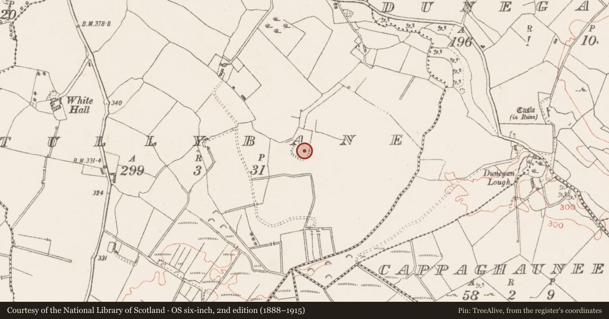 Ordnance Survey six-inch map, 2nd edition (1888–1915) covering the location of Ringfort - rath, Tullybane, County Westmeath, with a pin at the register's coordinates