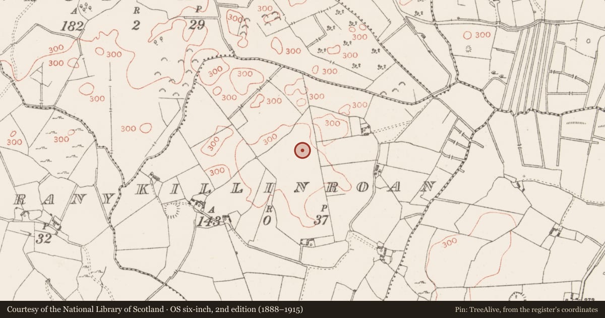 Ordnance Survey six-inch map, 2nd edition (1888–1915) covering the location of Burial ground, Killinroan, County Westmeath, with a pin at the register's coordinates